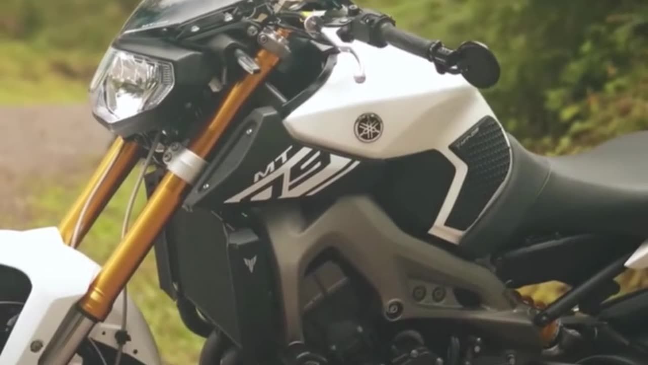 Personaliza tu moto con vinilos de colores llamativos
