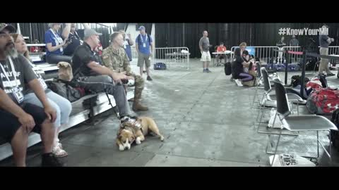Service Dog's Best Friends