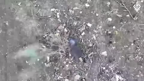 Ukrainian Drones Pounding Russian Infantry