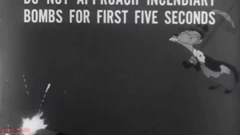 Tokio Jokio | 1943 | World War 2 Era Propaganda Cartoon