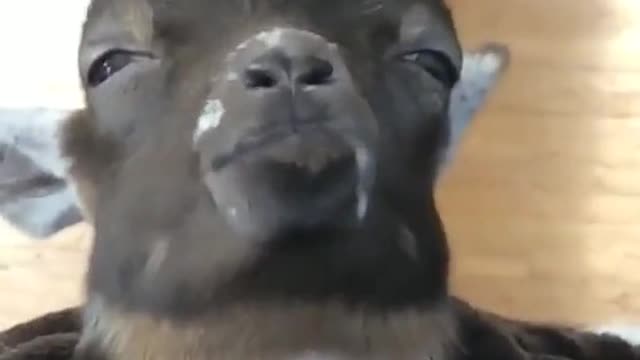🥱