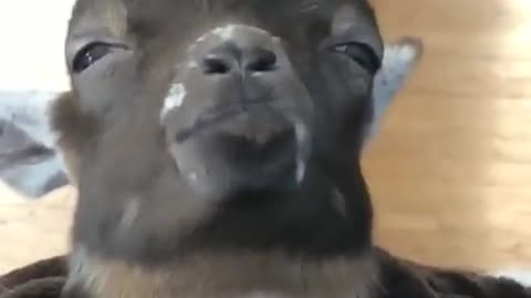 🥱