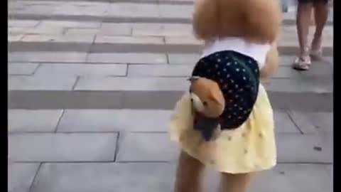 subscribe for more✔😍❤ #shorts#petskivines@Pets ki Vines