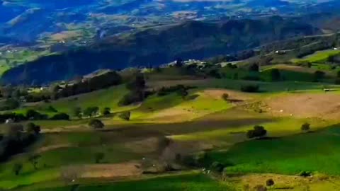 Beautiful nature