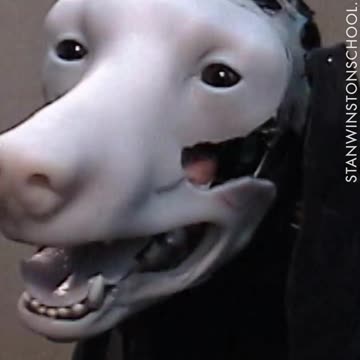 The shaggy dog behind the scenes