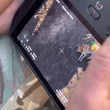 Drone operators deliver sausages to a local dog 😍