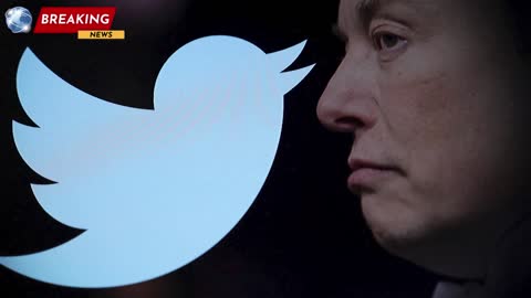 If Twitter Dies, Democracy Won’t Go With It