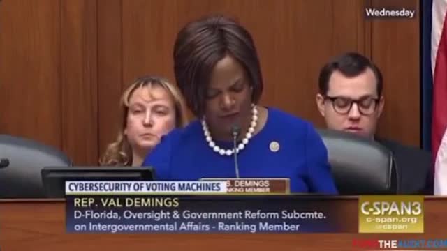 Dems discuss voting machines