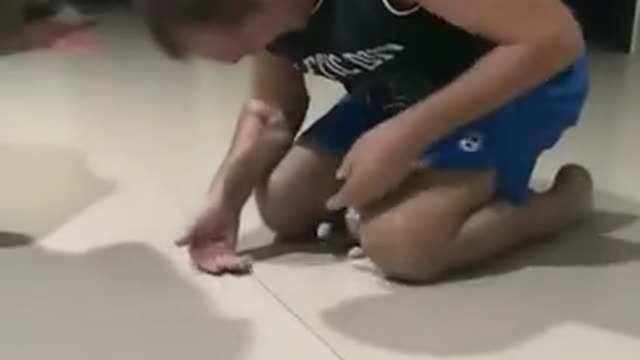 The same father who has no animals in my house
