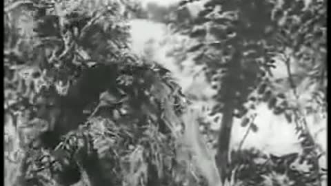 Sniper Field Training