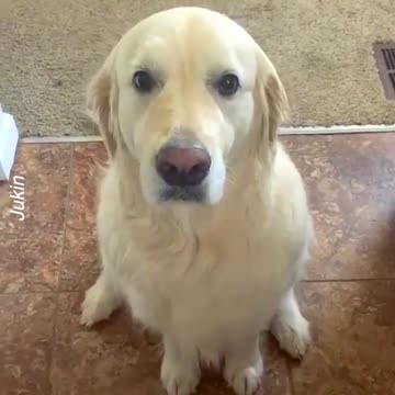 We can all use a little loving