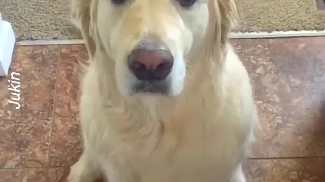 We can all use a little loving