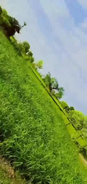 Sad Video and love video