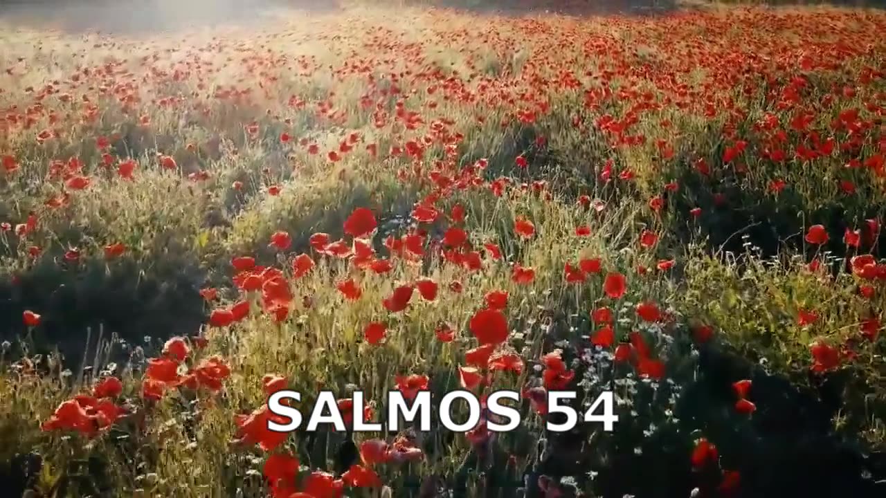 SALMOS 54