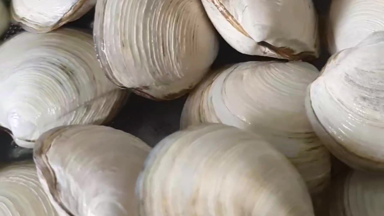 Lanbreta fresca como fazer