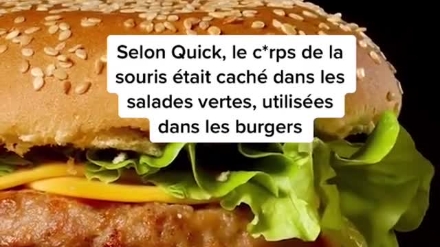 A woman in France found a mouse in her Quick burger...