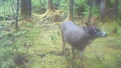 A Small Opening at the Bottom of a Mountain, Early Fall