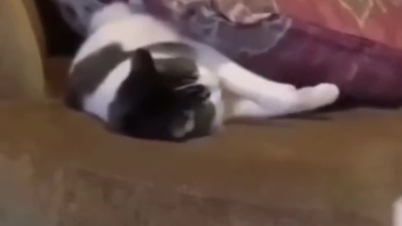 Funny video 😂😂😂