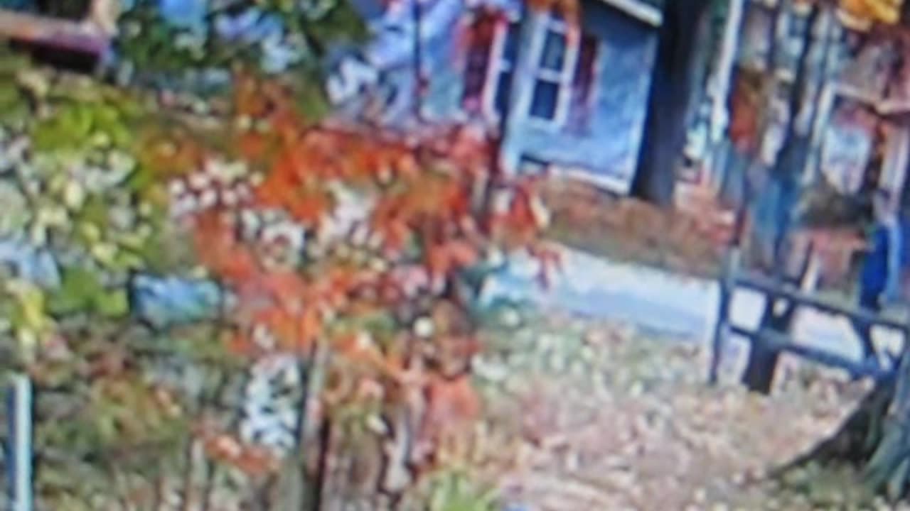 as neighbor wife goes to get mail she is recorded by stalker across the street