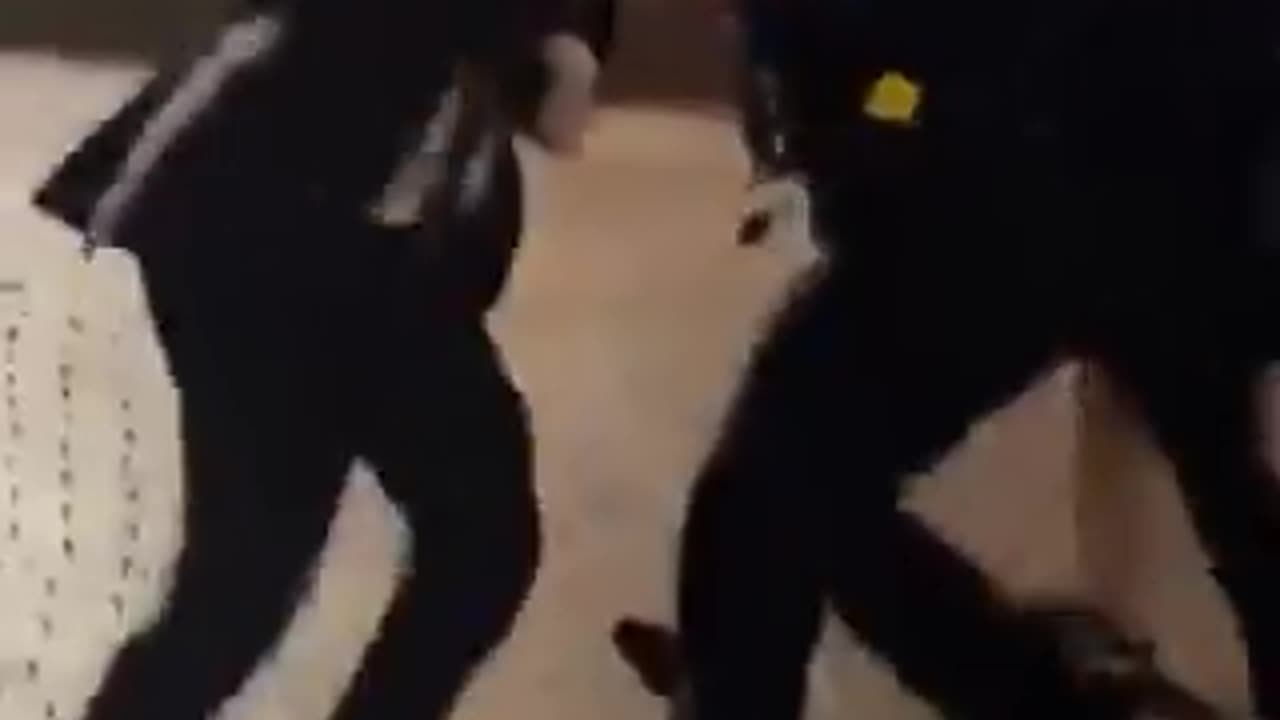 Cops Knock Out a Bridesmaid After a Wedding