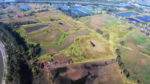Fields | Agriculture | Nature | Meadow