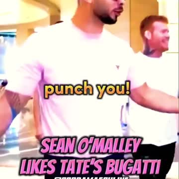 Andrew Tate Shows Sean O’Malley His Bugatti Chiron In Abu Dhabi 😱🔥🤑