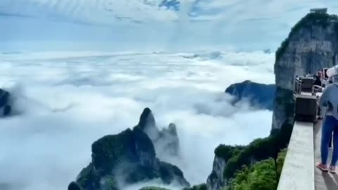 Nature videos // Nature shorts // Nature short videos // Nature Video