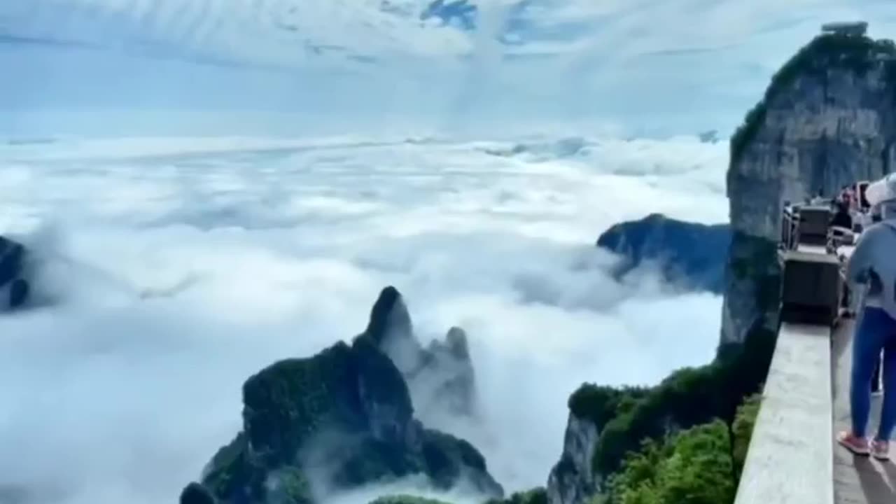 Nature videos // Nature shorts // Nature short videos // Nature Video