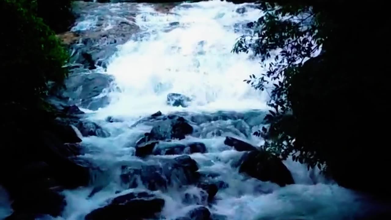 Discover Wayanad's Torrential River at Nadukani Estate | Kerala, India