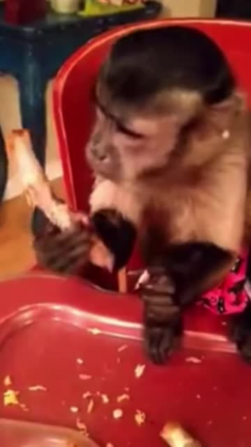 This short video popped up in my memories from