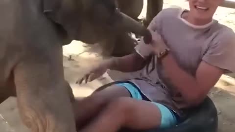 Baby Elephant Love Hugs