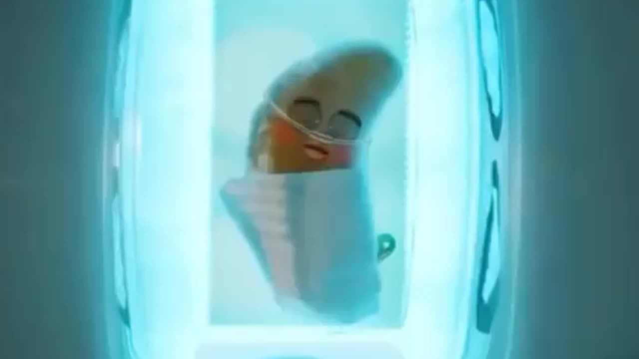 Amazing vedio wait for the end..