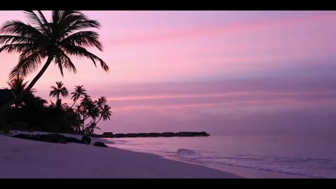 A beach with the sound of the sea and a palm tree for meditation