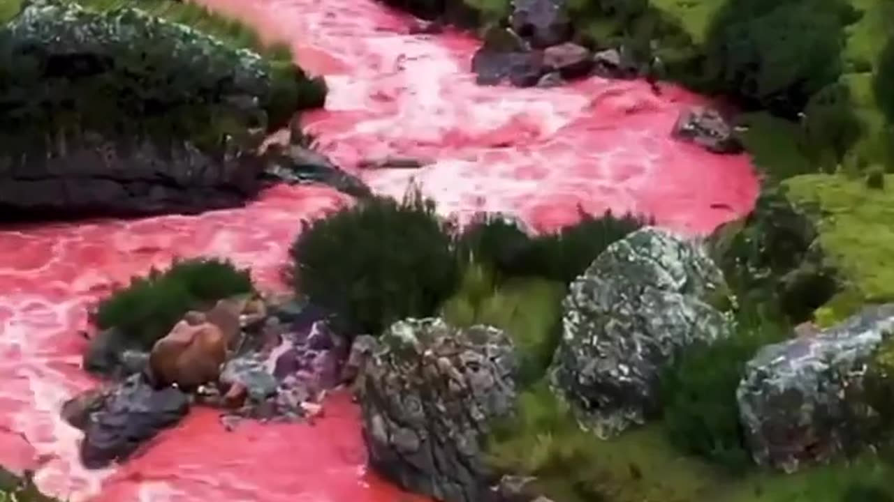 The Famous Red River In The Velley Cusco Peru