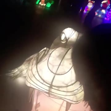 I put my head in the lighted crocodile's mouth & lived to tell.