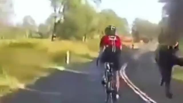 Kangaroo Randomly Jumps Out And Hits Biker | Unforgettable Fails