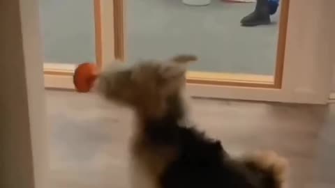 He's flying