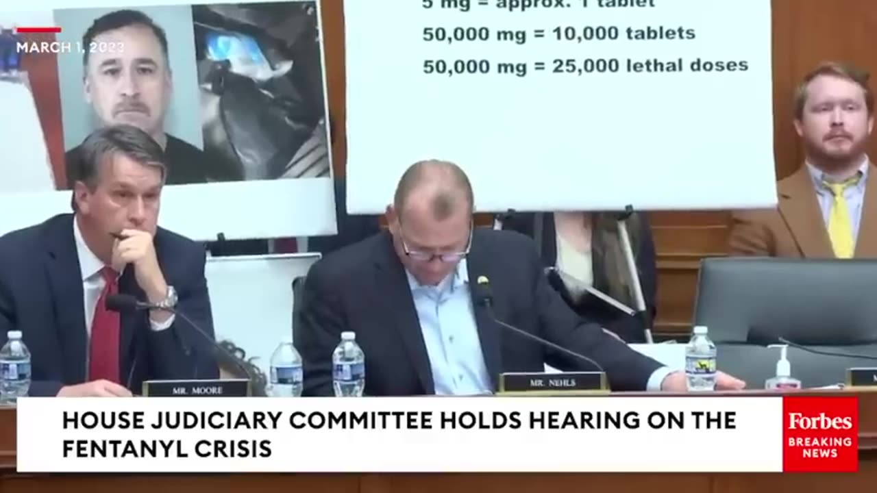 'In My Humble Opinion, You Sir Are Wrong'- Sparks Fly Between Troy Nehls And Witness