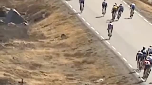 Crosswinds pro cycling fans