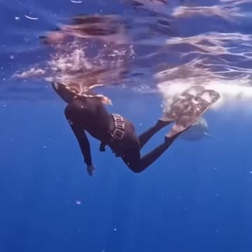 NEVER splash or run away from a shark