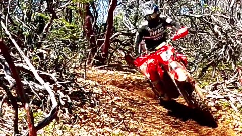 Tight Woods Racing