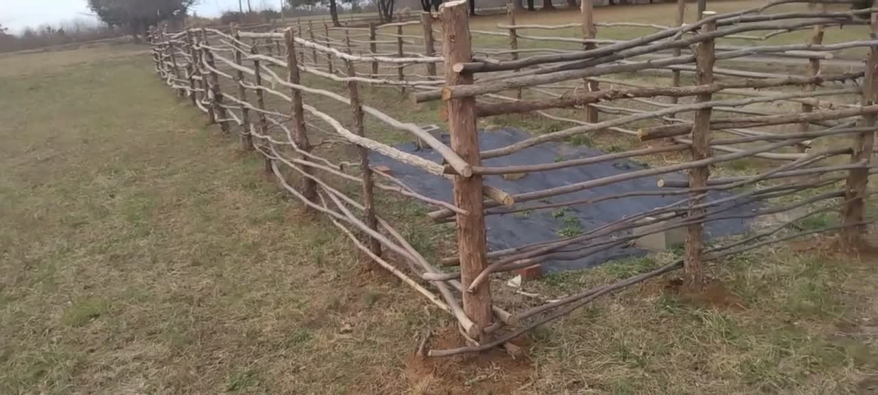 Brian's Colonial Sapling Fence