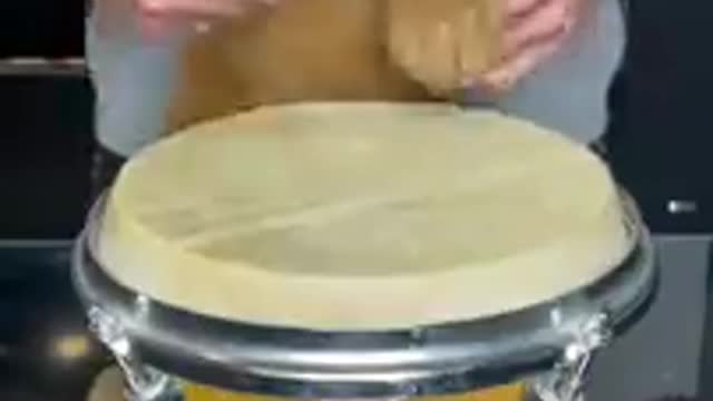 Puppy drums