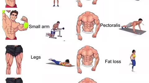 Best 3 Sets Each Workout