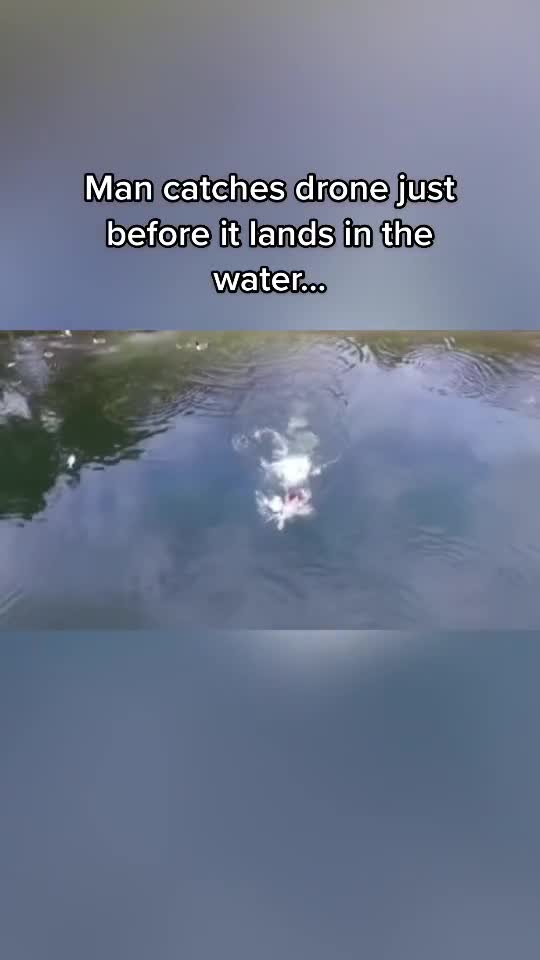 Copylink or kiss Puttin!