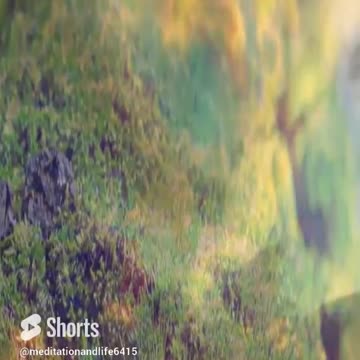 Meditation is the art of quieting the mind #shorts #rain #shorts#meditation