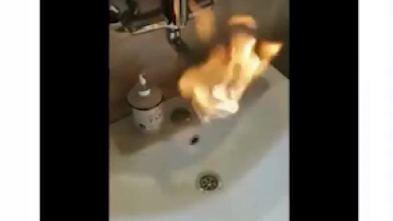 How Do You Make FIRE from WATER? East Palestine