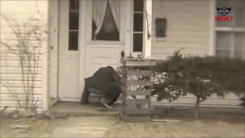 Terrifying Footage Caught on Camera from the Dark Web