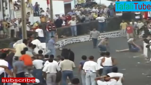 best funny bullfighting festival 2020