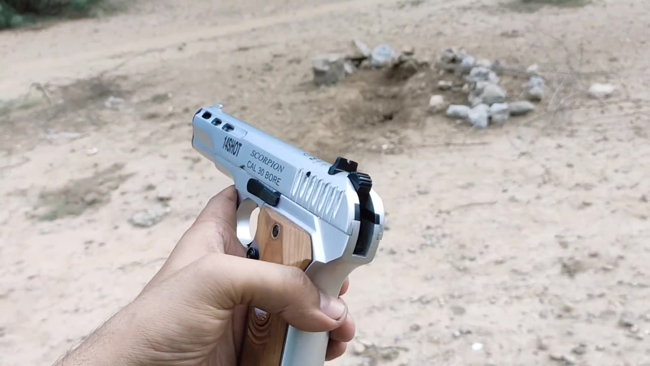 TT 30Bore Desert Scorpion 🦂 pistol